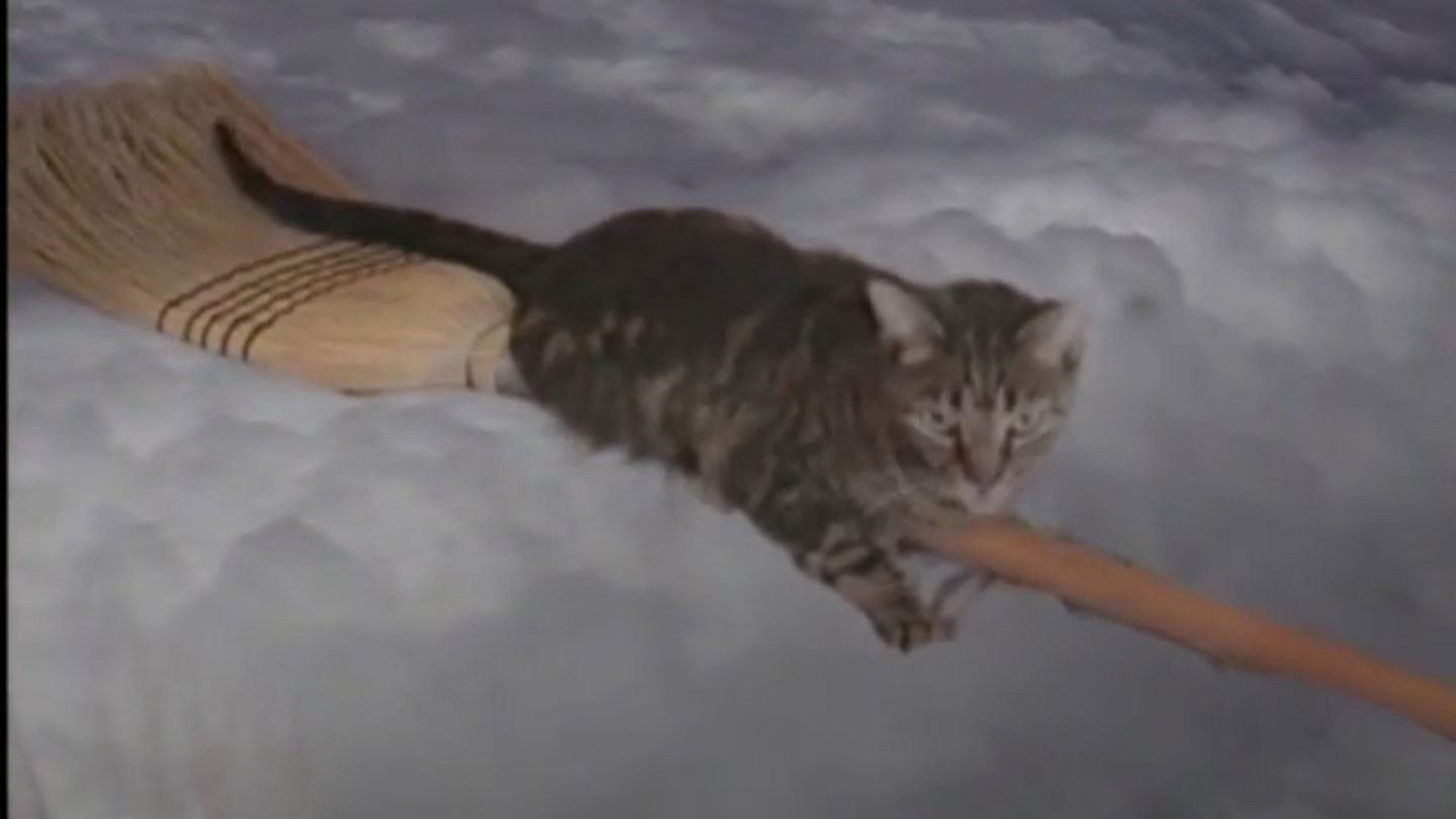 Backdrop for Catastrophy