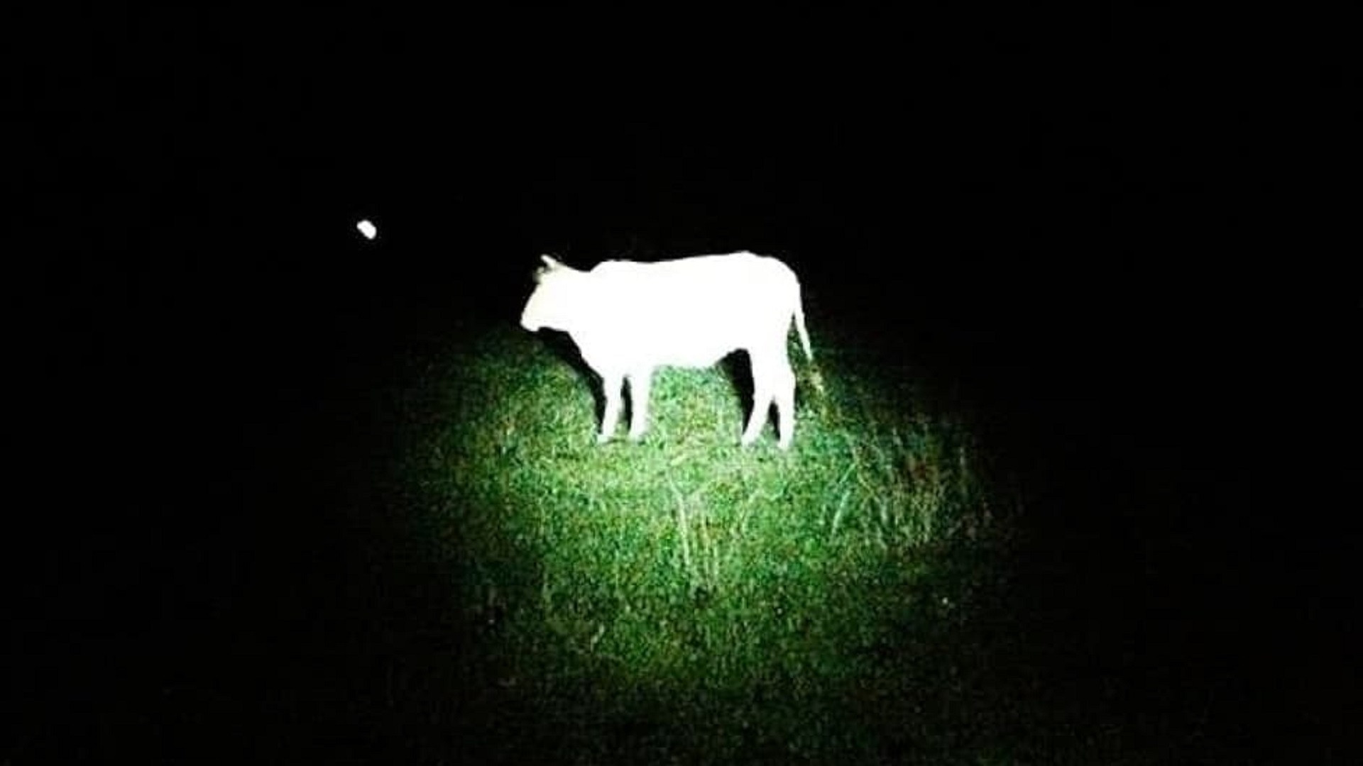 Backdrop for Hindi Sila Tatanda