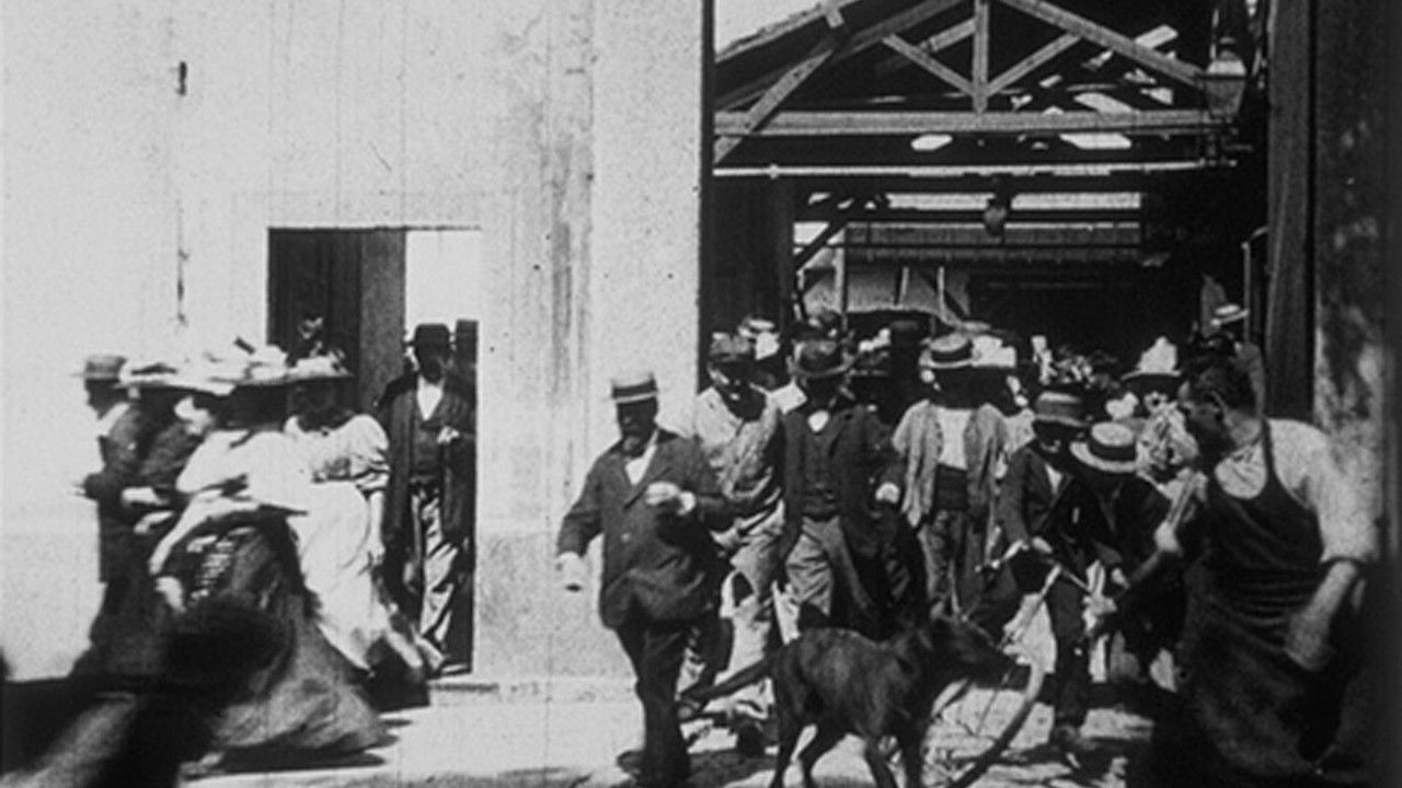 Backdrop for Sortie d'usine, [III]