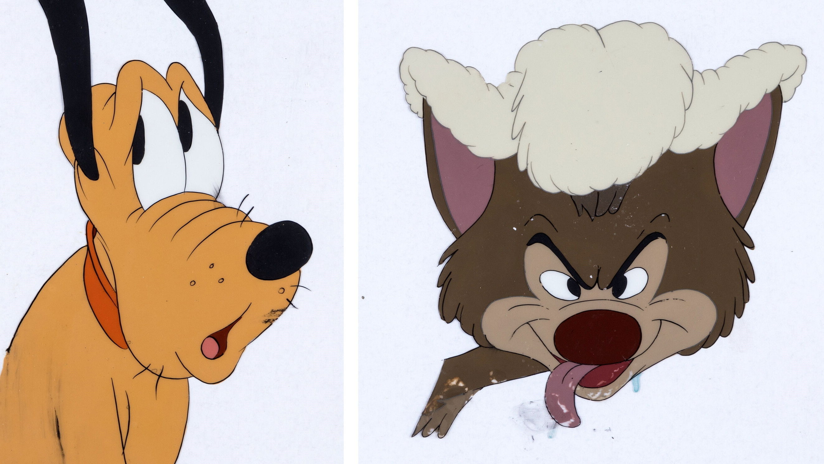 Backdrop for Sheep Dog