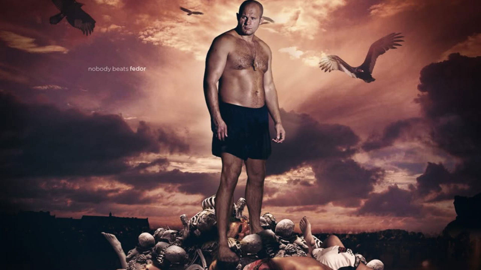 Backdrop for Fedor: The Baddest Man On The Planet