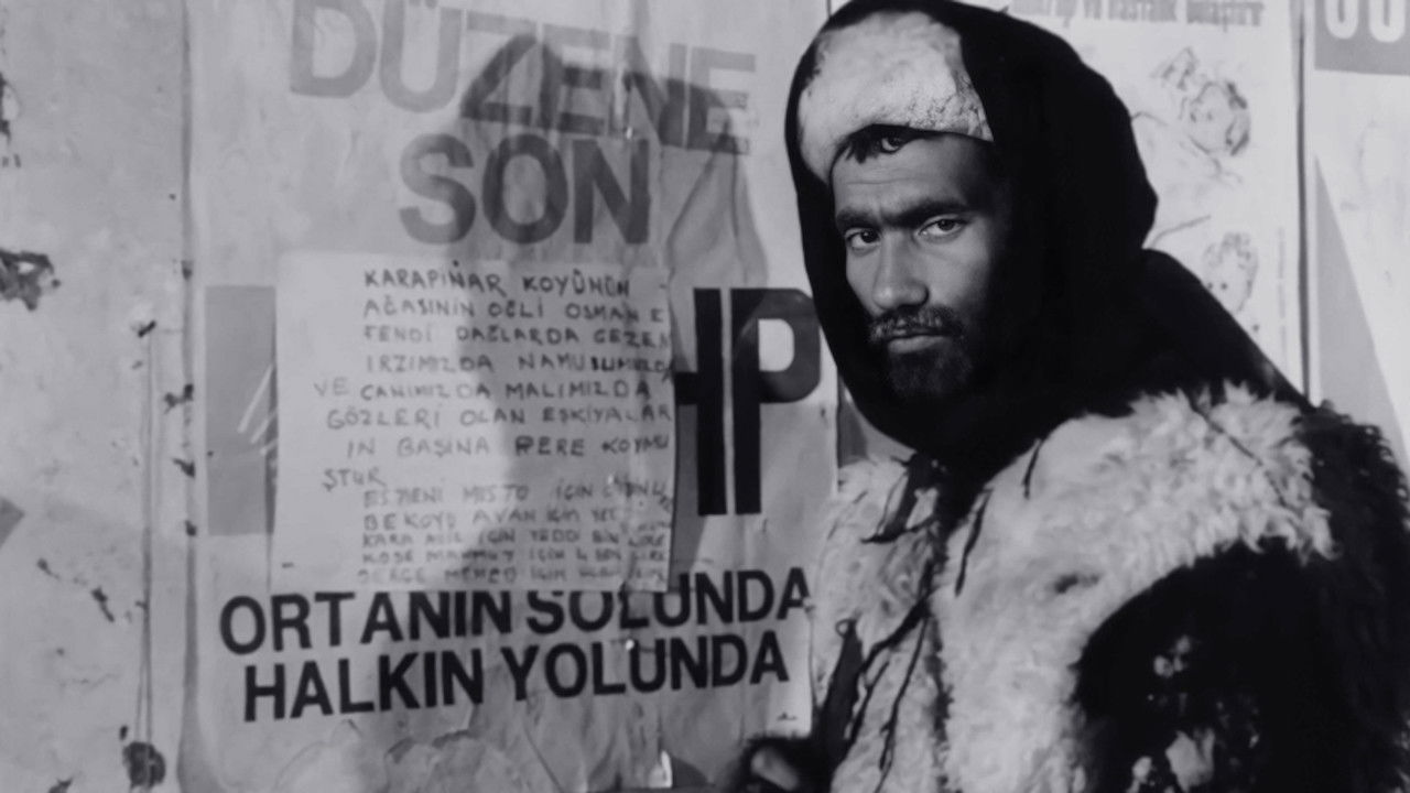 Backdrop for The Hungry Wolves