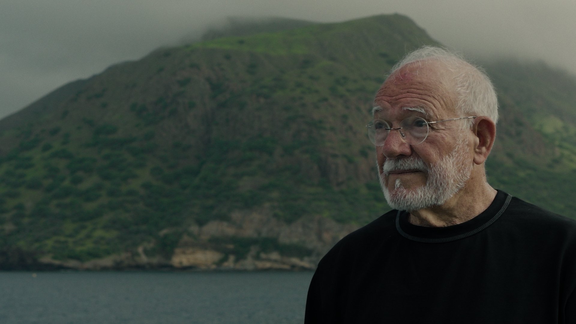 Backdrop for Chão Verde de Pássaros Escritos