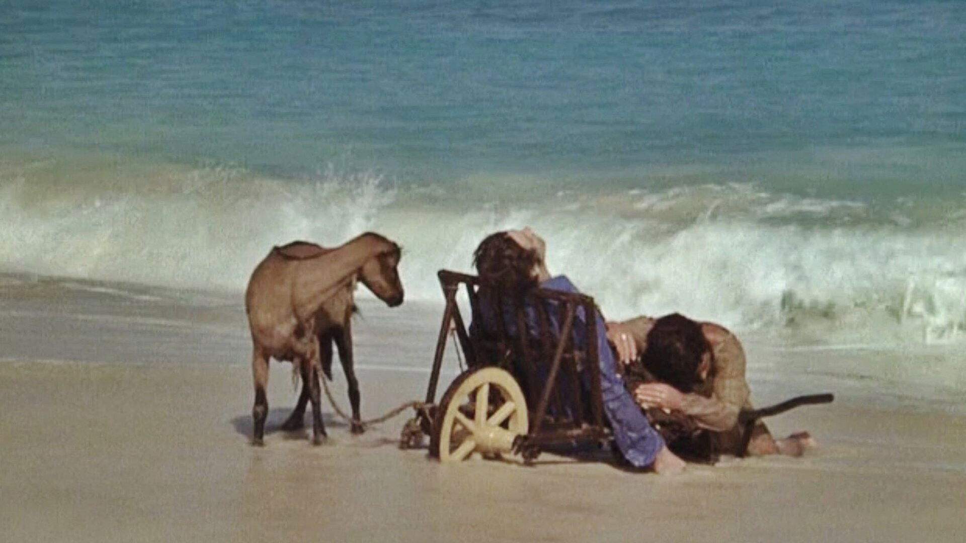 Backdrop for I Will Walk Like a Crazy Horse