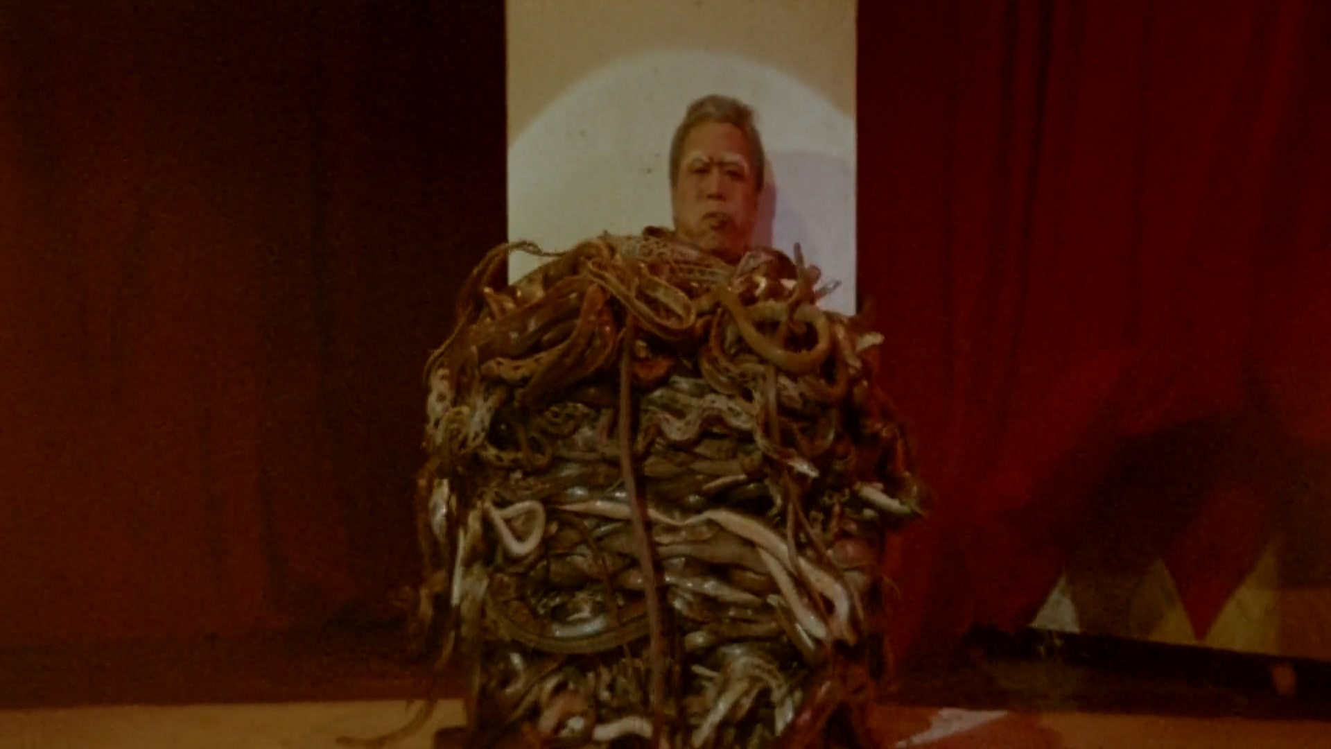 Backdrop for Calamity of Snakes