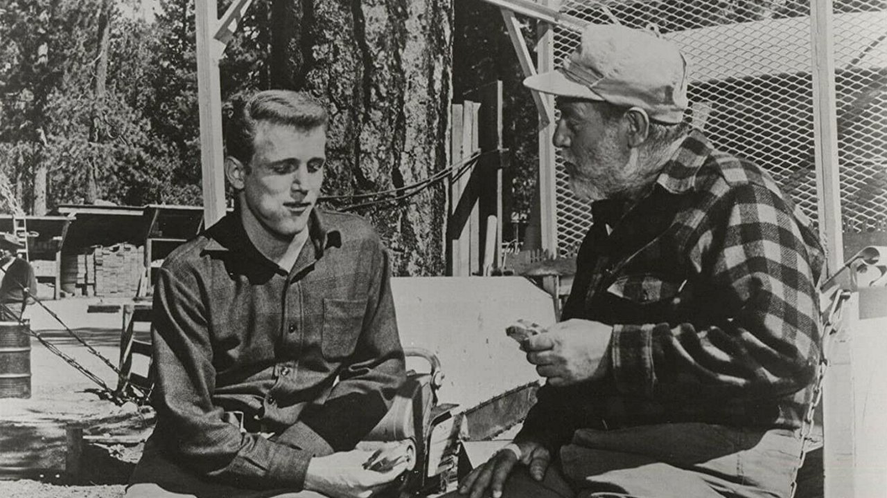 Backdrop for Freckles