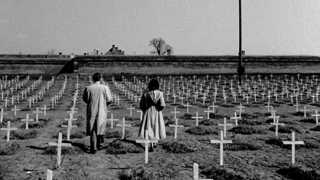 Backdrop for Distant Journey