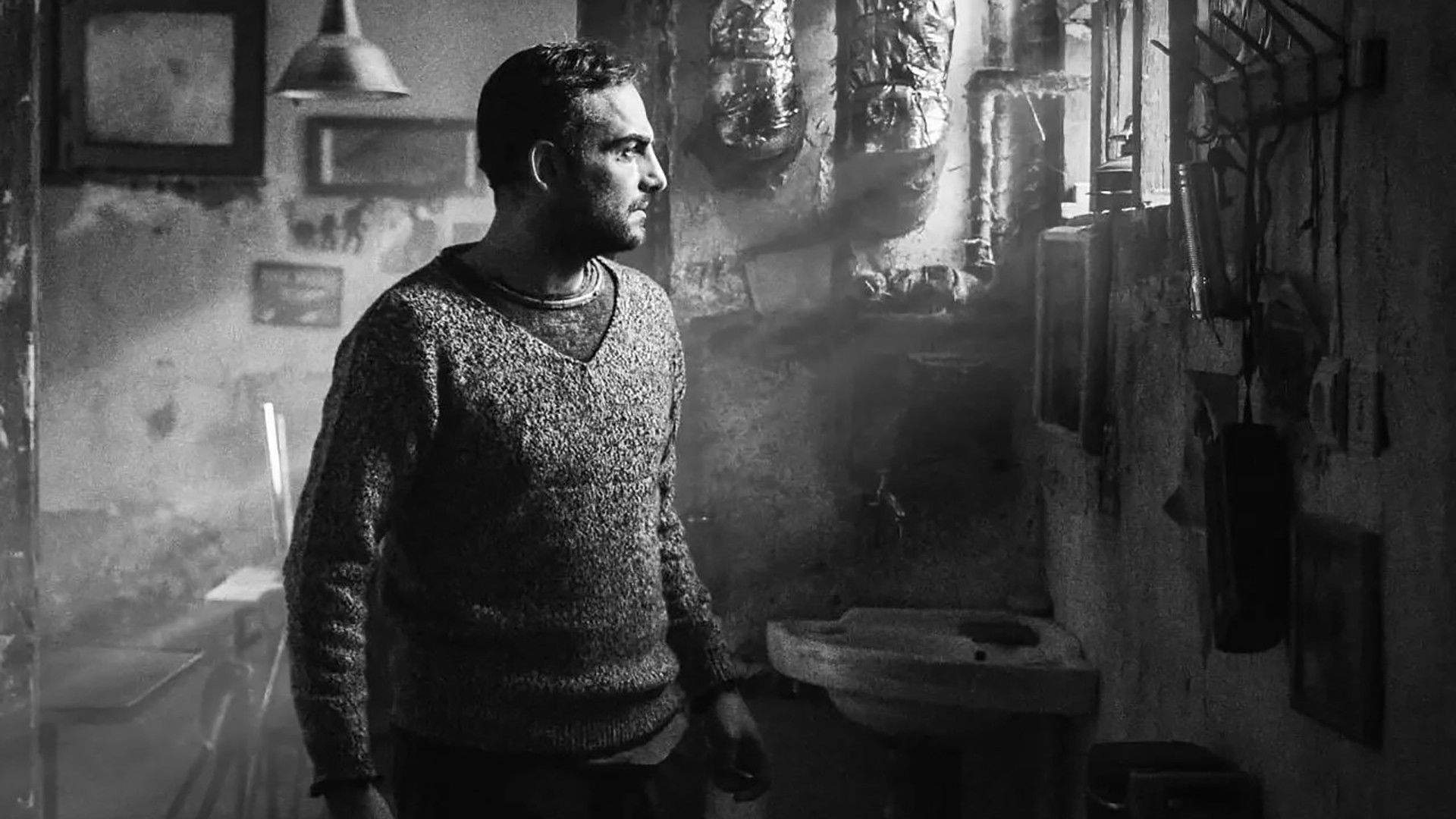 Backdrop for The Bora