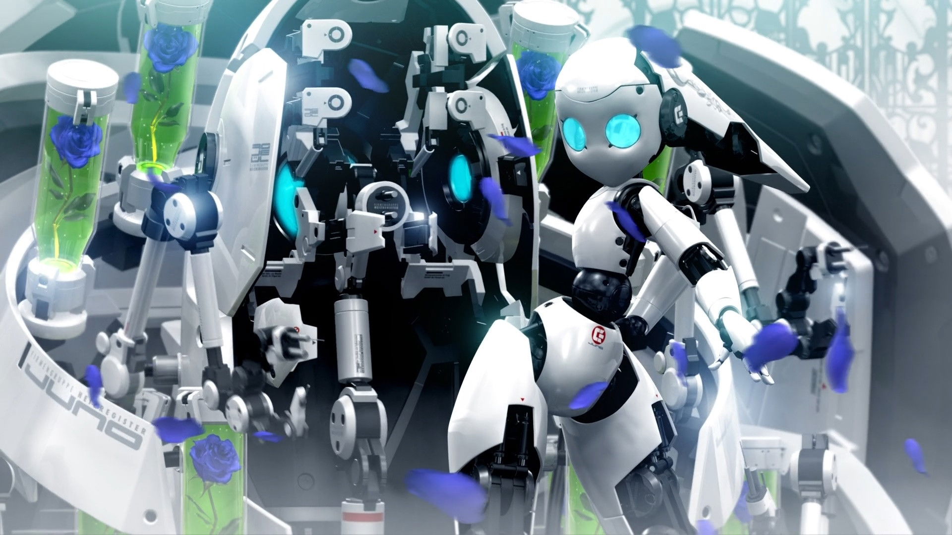 Backdrop for Fireball Charming