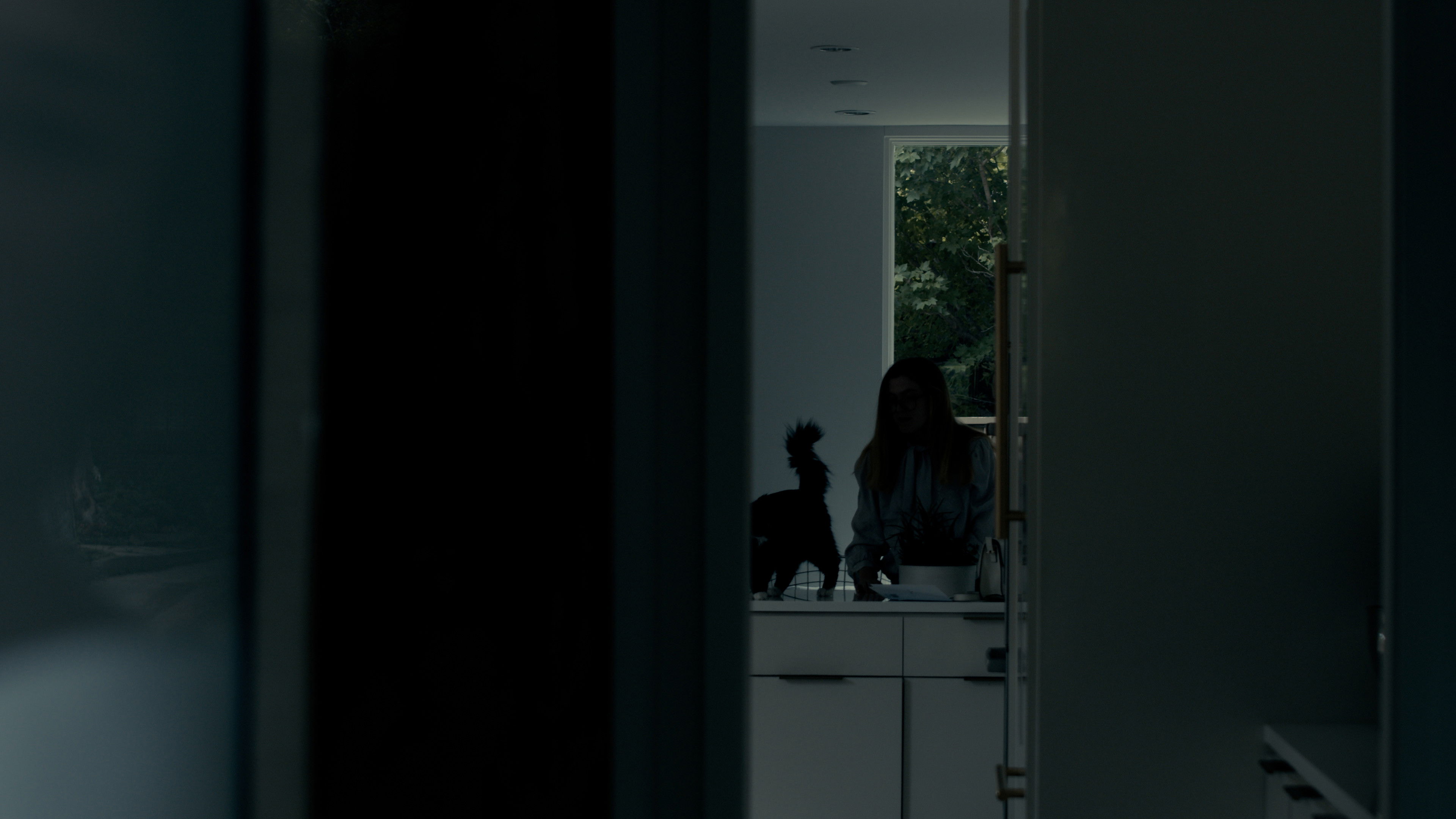 Backdrop for Toxoplasma