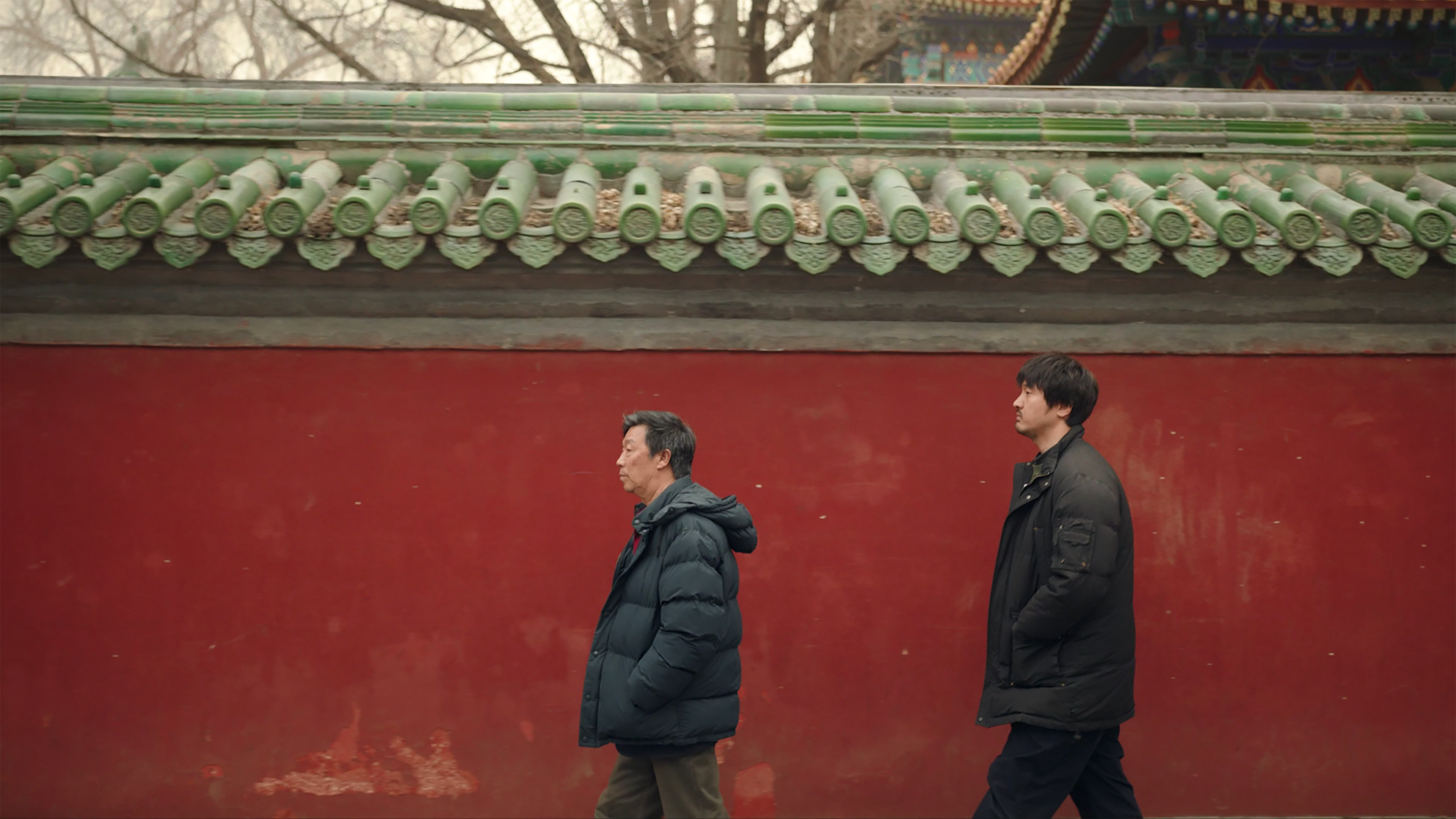 Backdrop for Green Wave