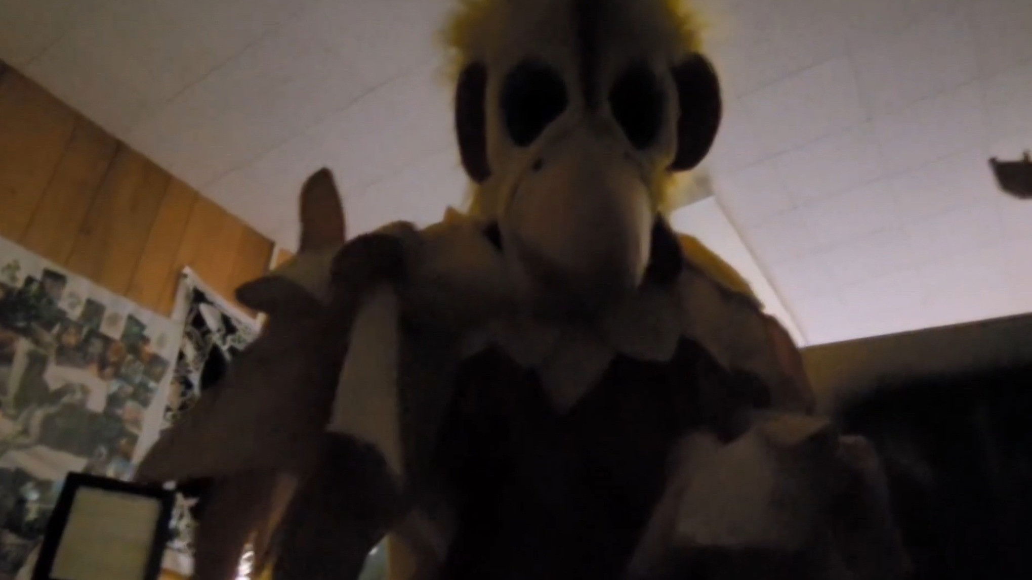 Backdrop for The Mascot