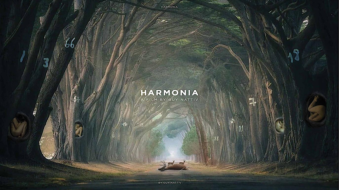 Backdrop for Harmonia