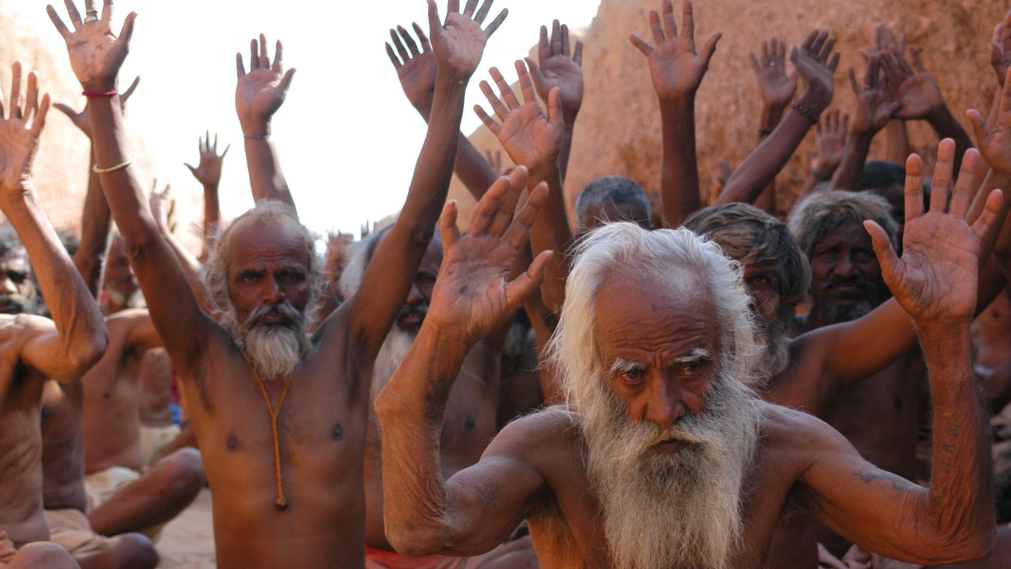 Backdrop for Scream of the Ants