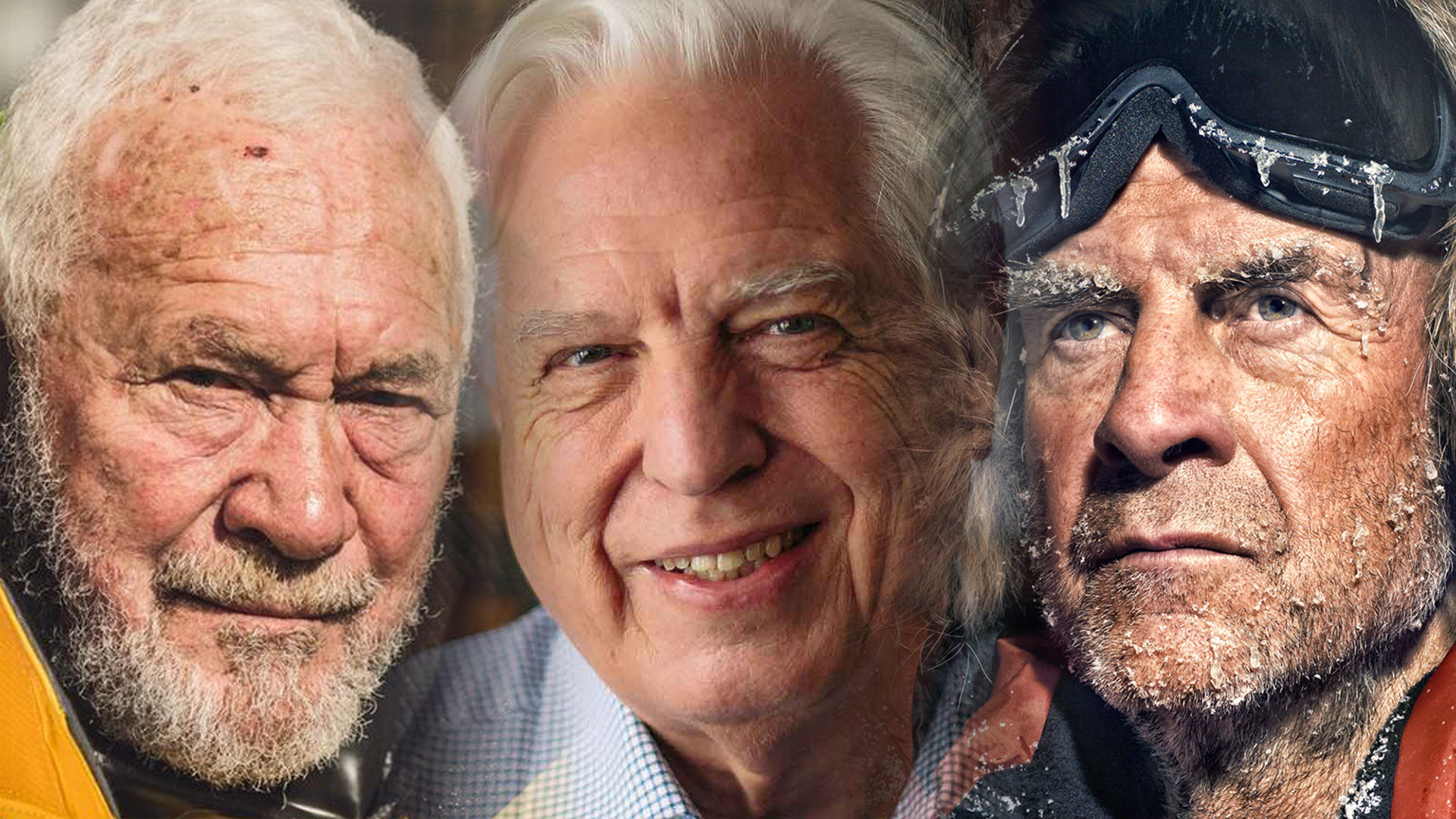 Backdrop for Top Dogs: Adventures in War, Sea and Ice