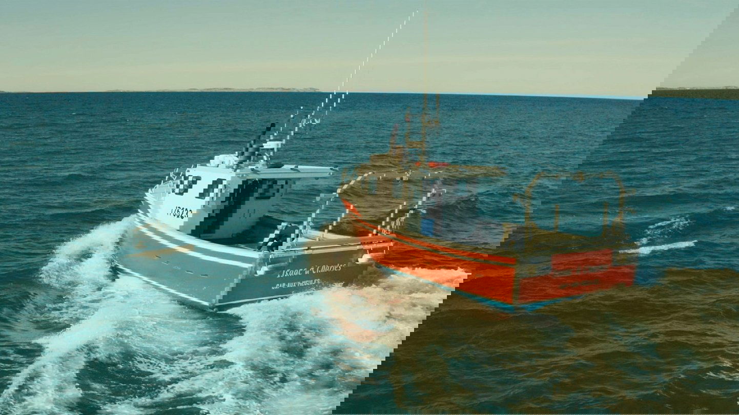 Backdrop for La course folle