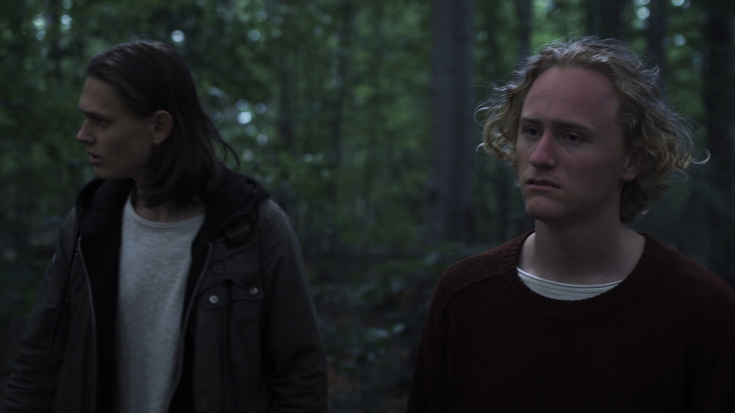 Backdrop for Lighter