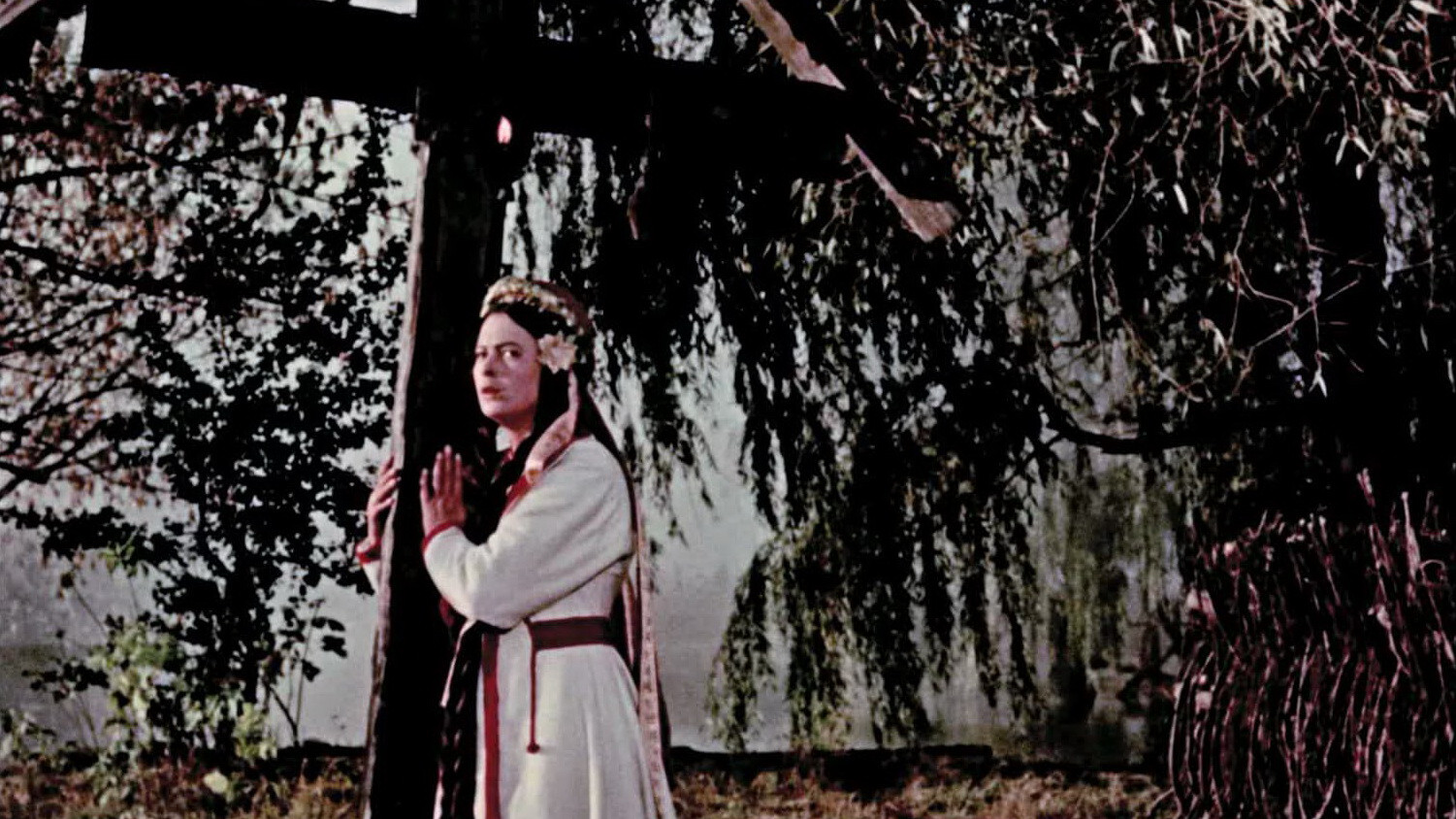 Backdrop for The Horse That Cried