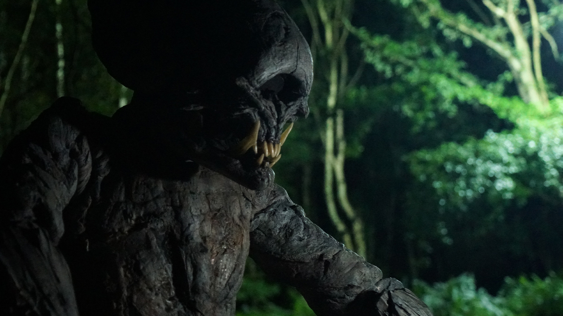 Backdrop for V/H/S: Video Horror Shorts