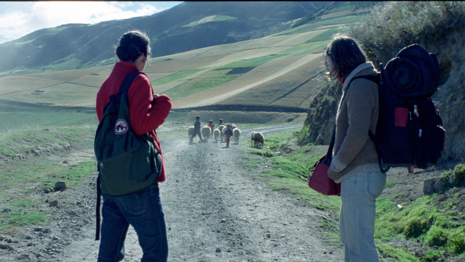 Backdrop for How Much Further