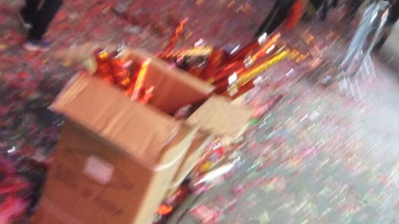 Backdrop for Chinese New Years II