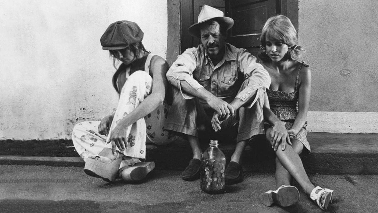 Backdrop for Dixie Dynamite