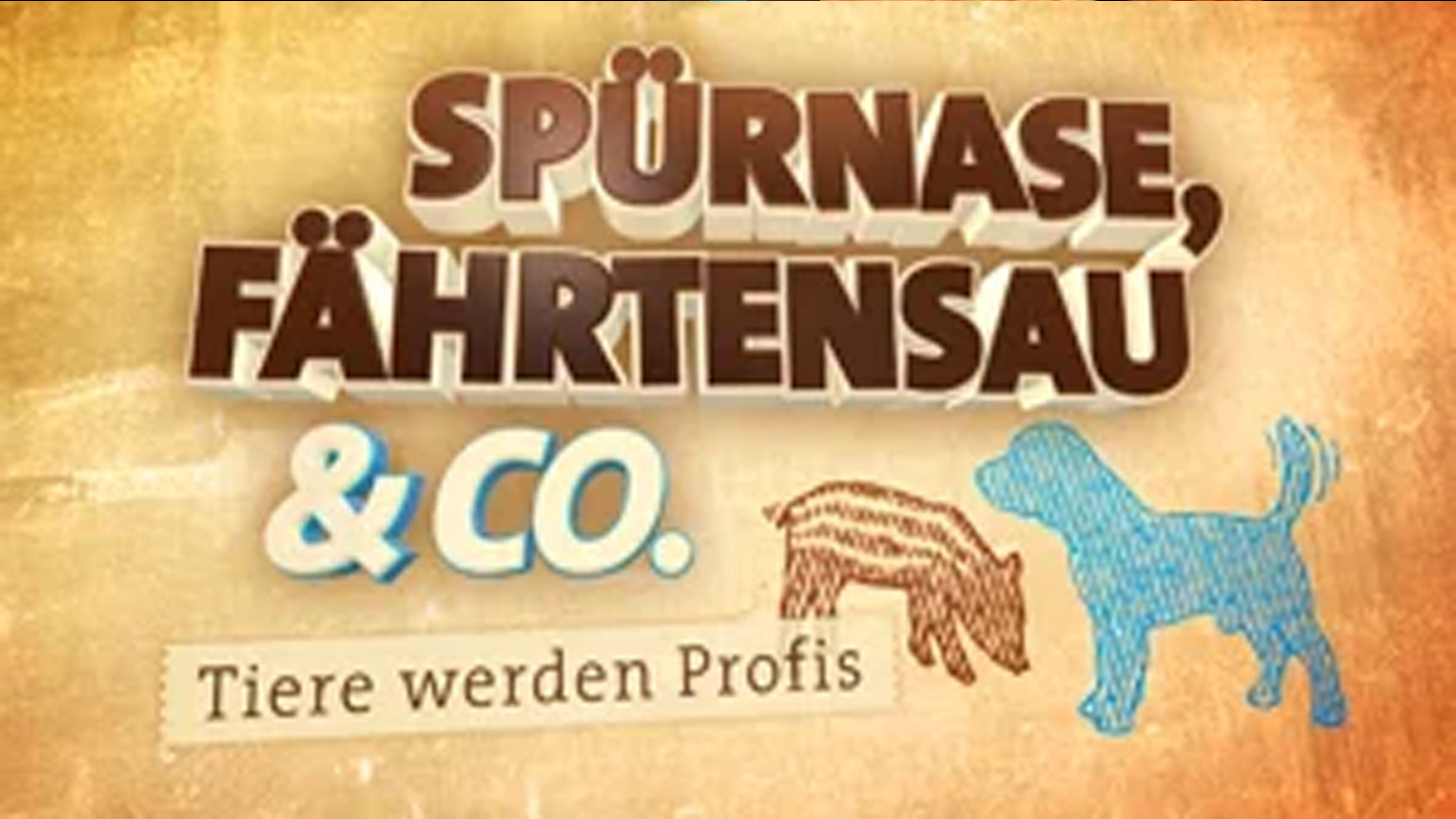 Backdrop for Spürnase, Fährtensau & Co.