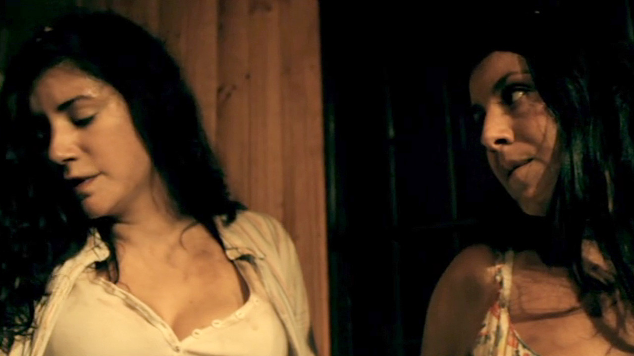 Backdrop for Hidden in the Woods