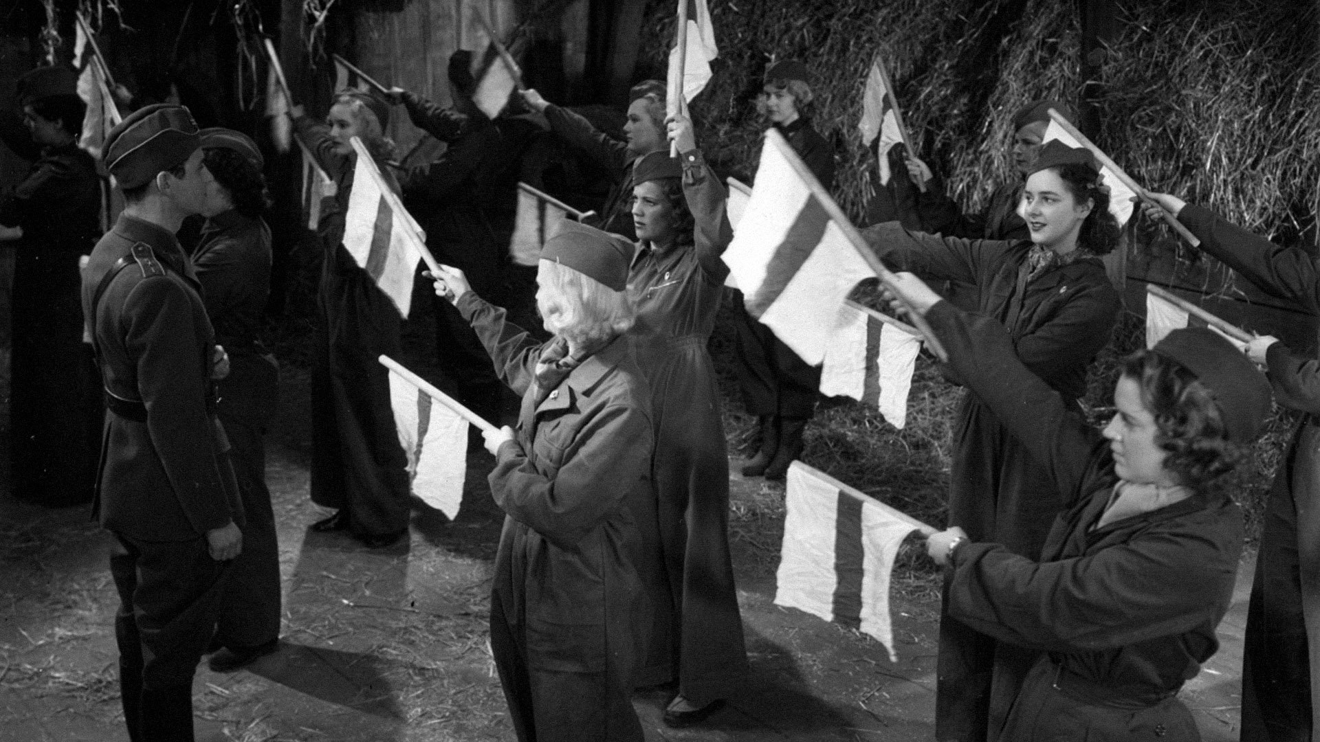 Backdrop for Landstormens lilla argbigga