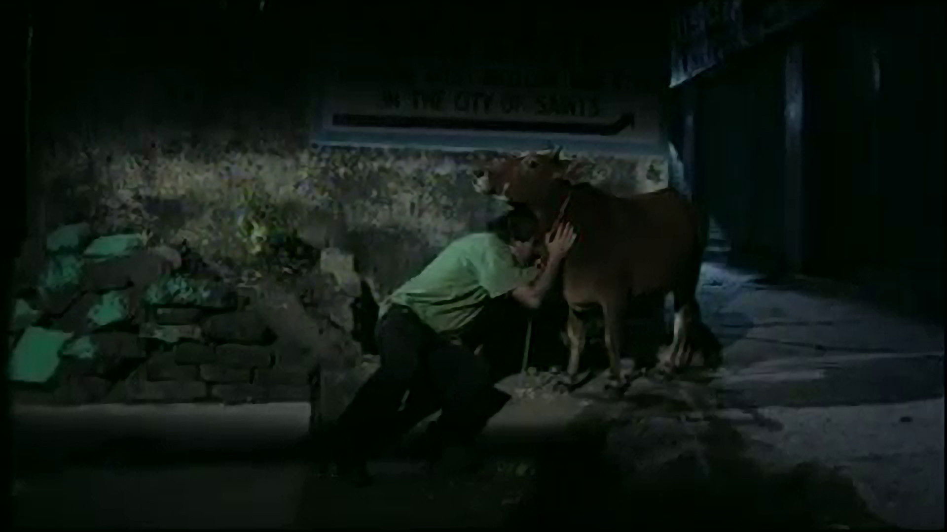 Backdrop for Letters from Rishikesh