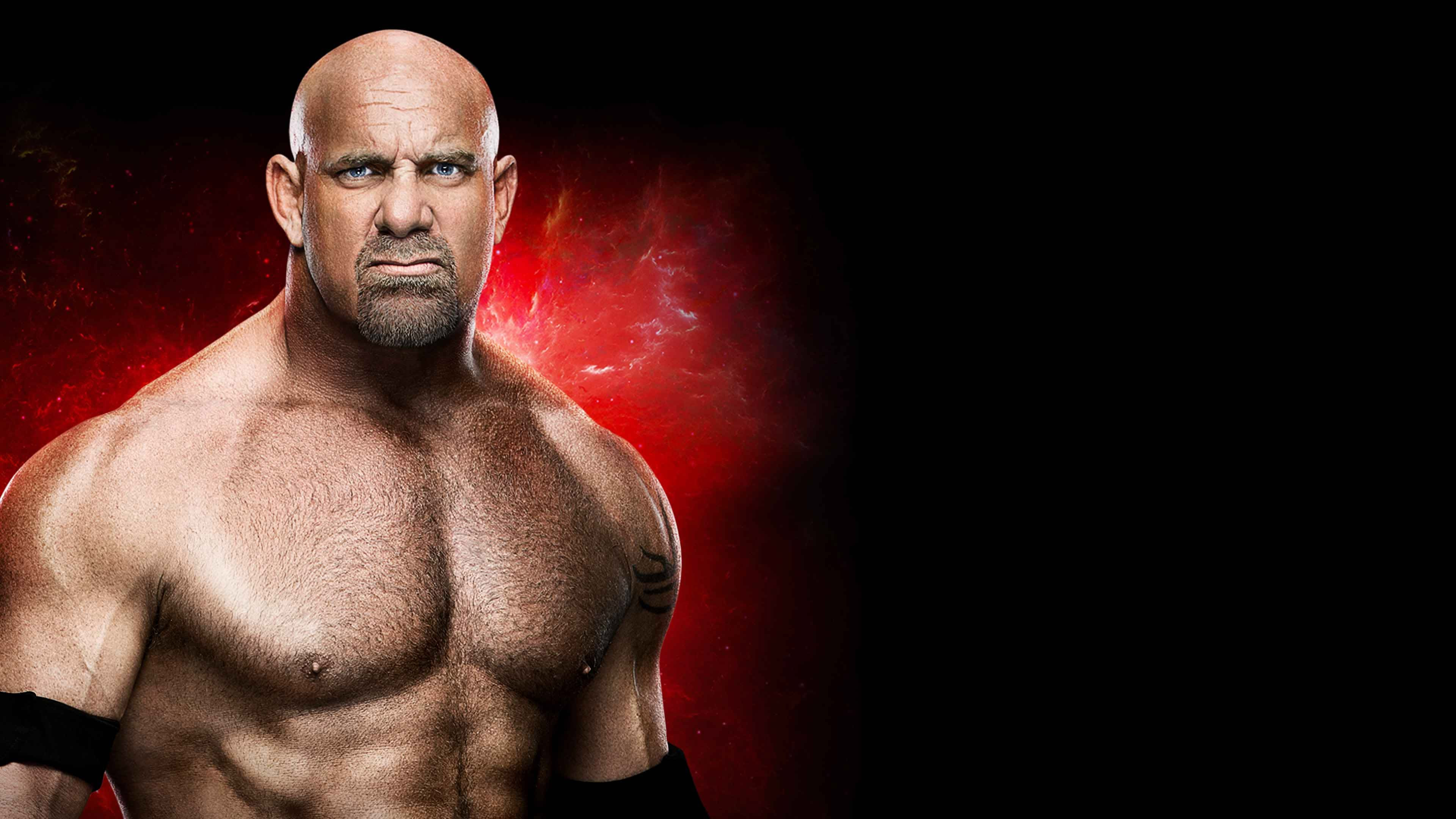 Backdrop for WWE Fastlane 2017