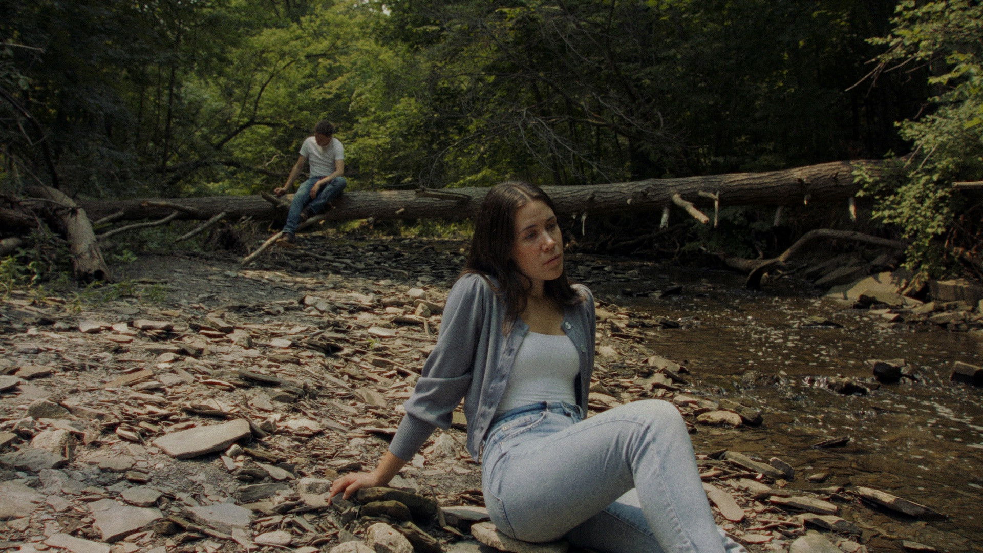 Backdrop for Daylight Again