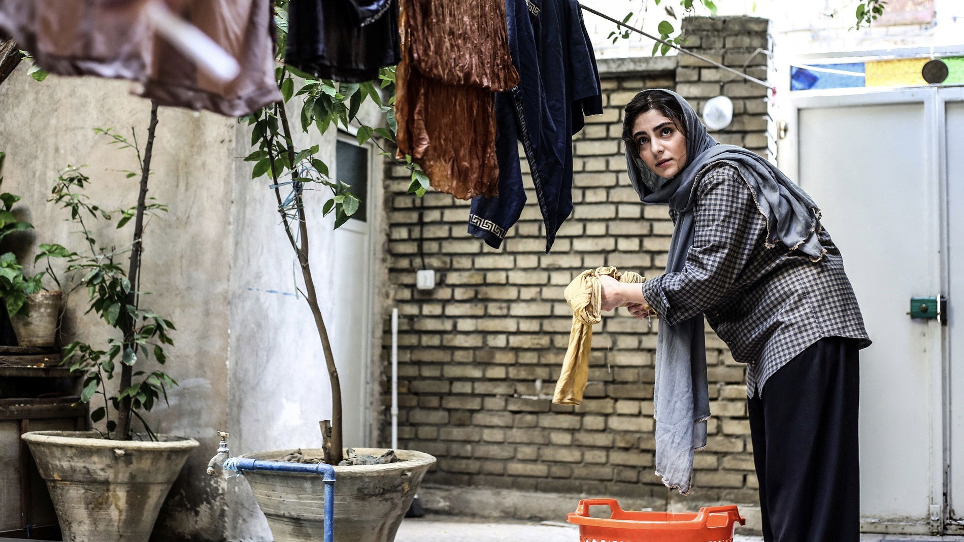 Backdrop for Seven and a Half