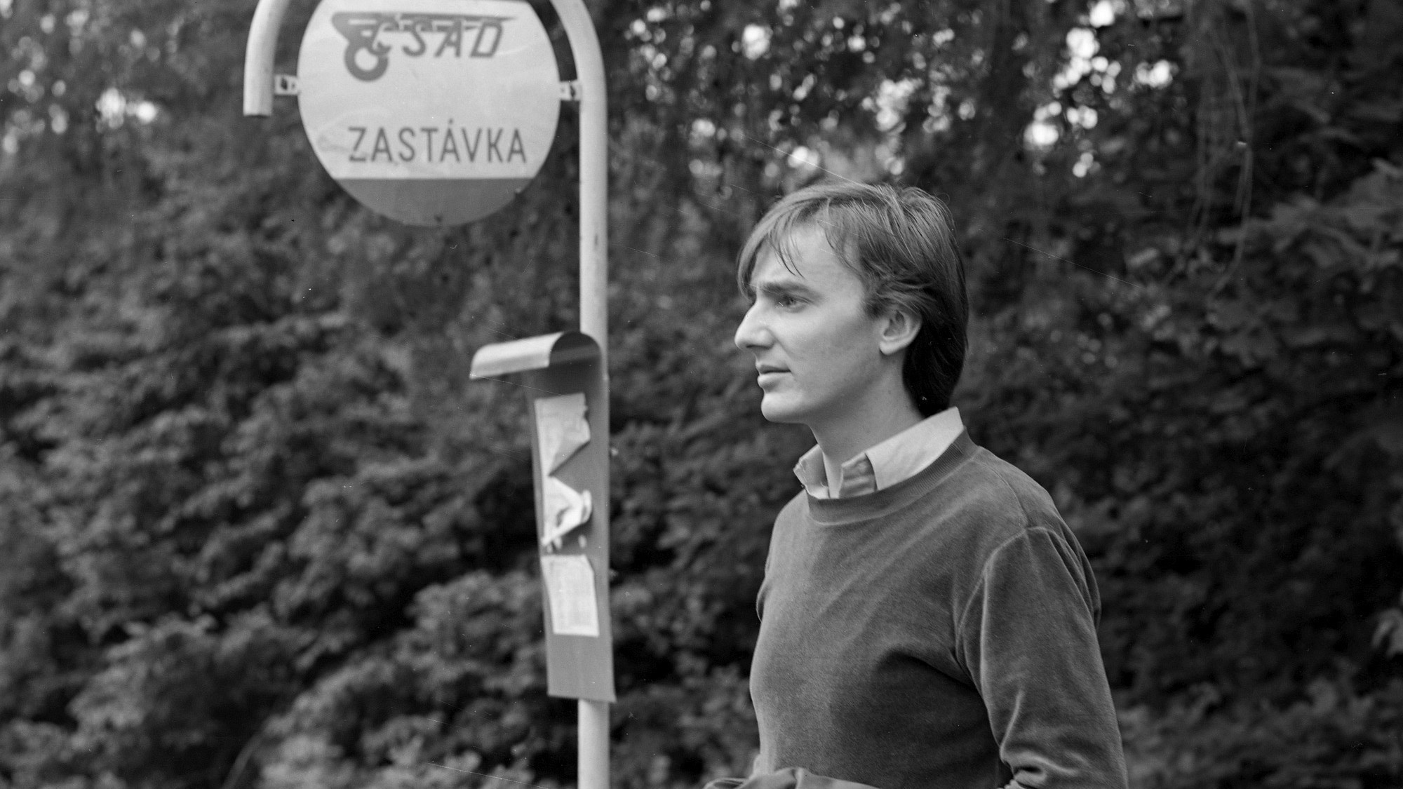 Backdrop for V hlavní roli obhájce