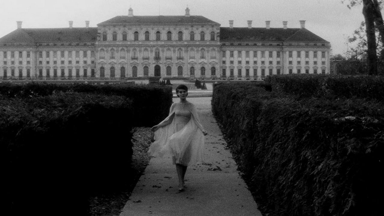 Backdrop for Last Year in Dachau