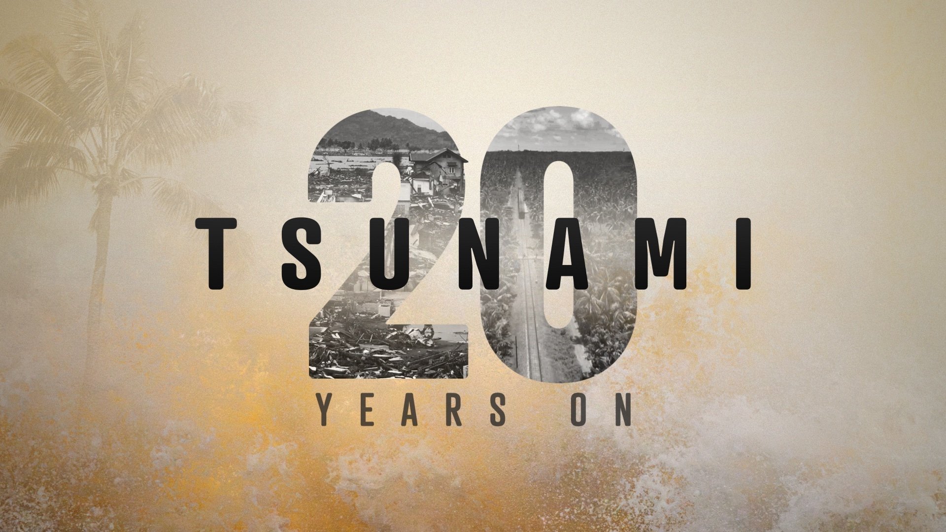 Backdrop for Tsunami: 20 Years On