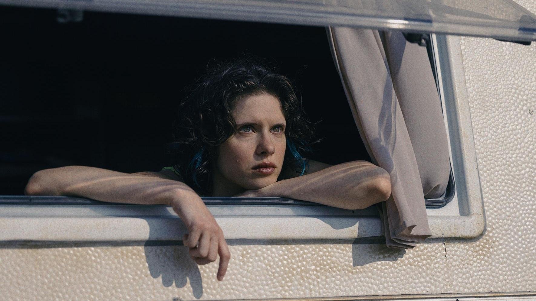 Backdrop for Our Wildest Days