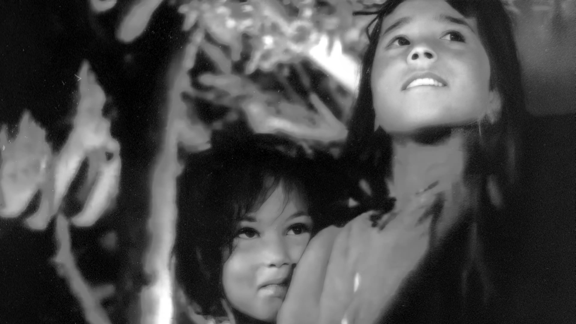 Backdrop for Yasmina