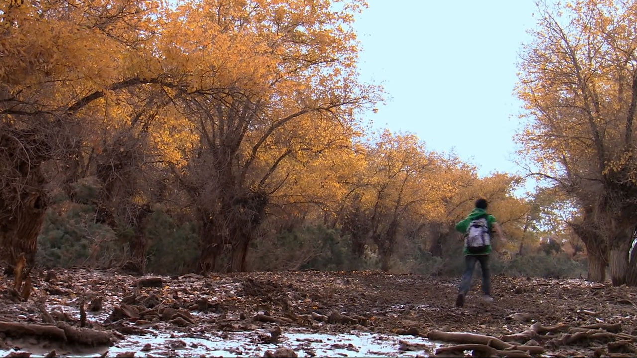 Backdrop for 胡杨深处是我家