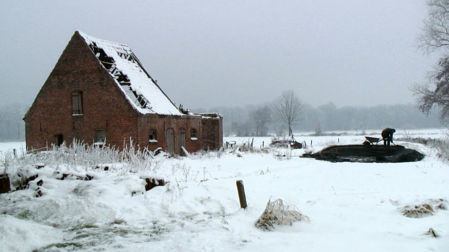 Backdrop for The Farmer