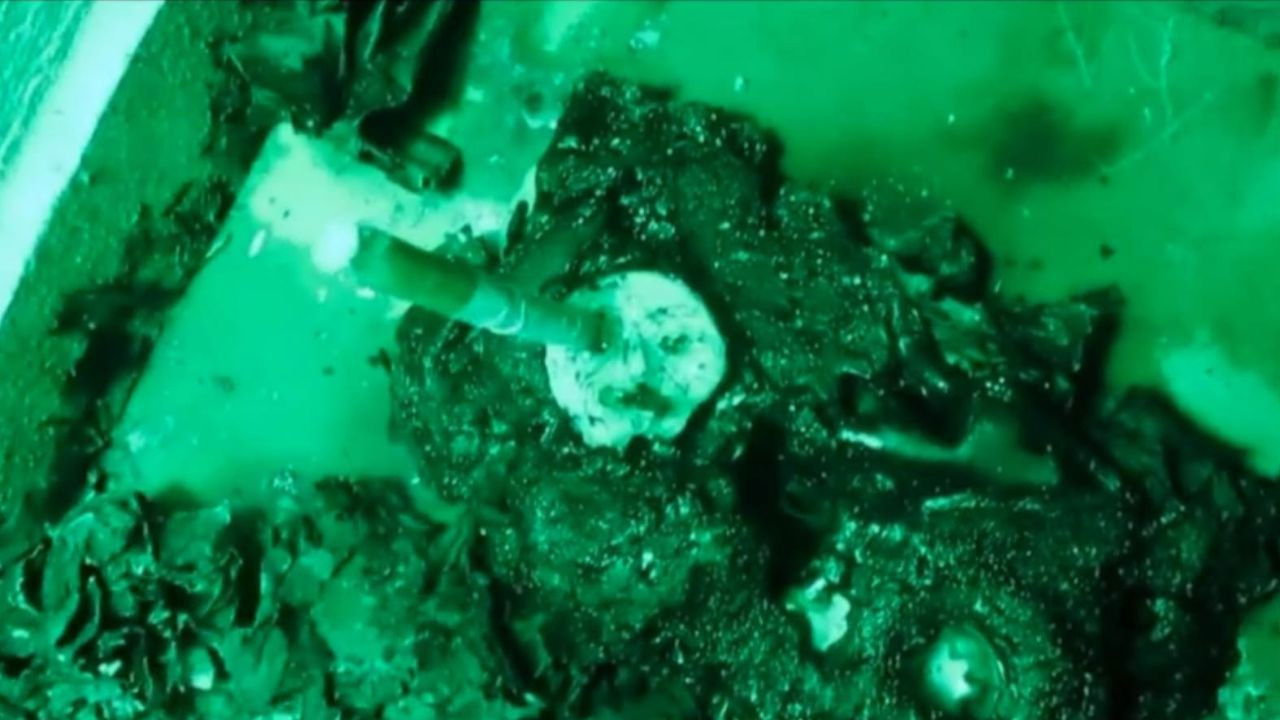 Backdrop for Era Locadora