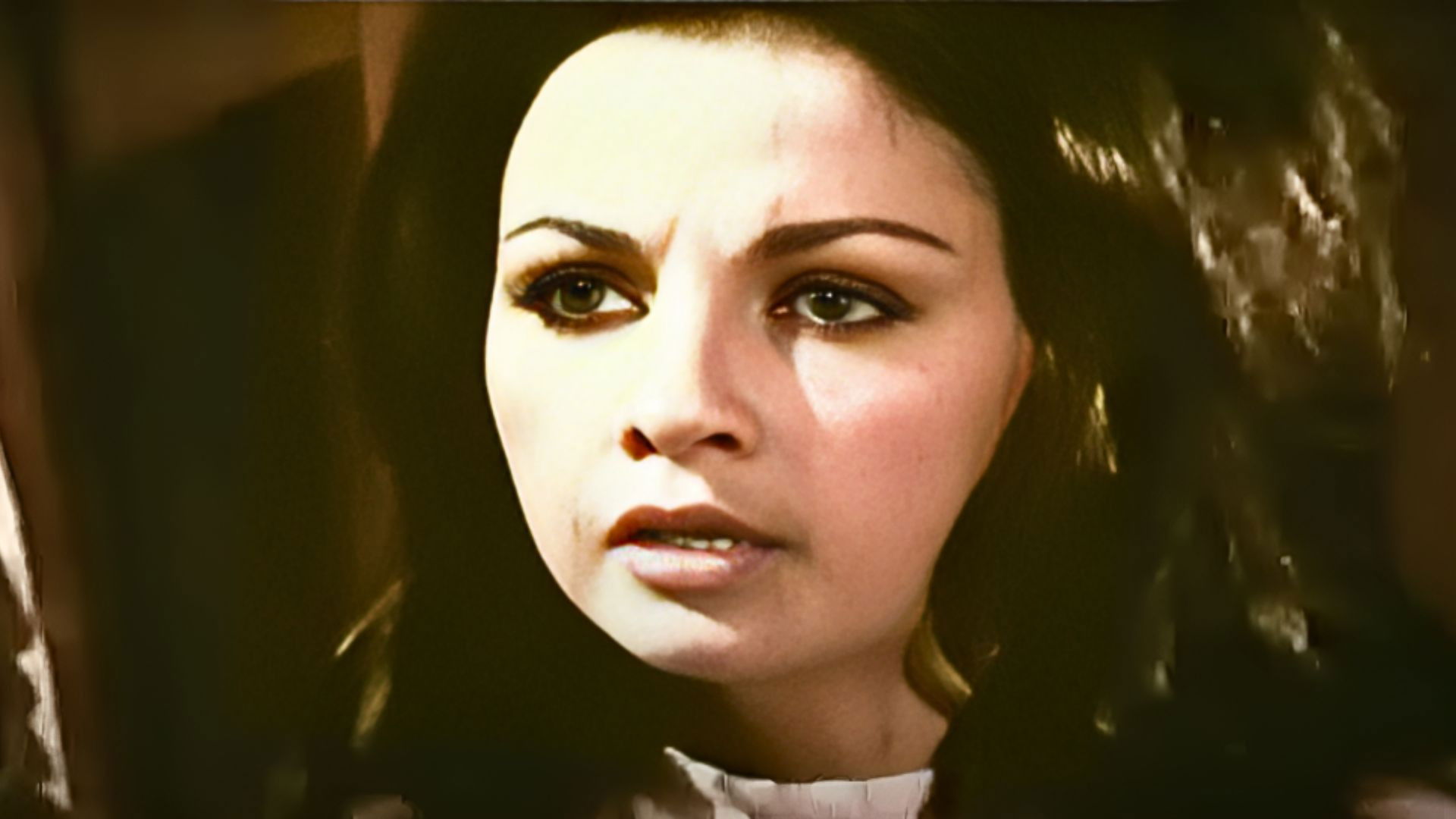 Backdrop for Trees Die Standing