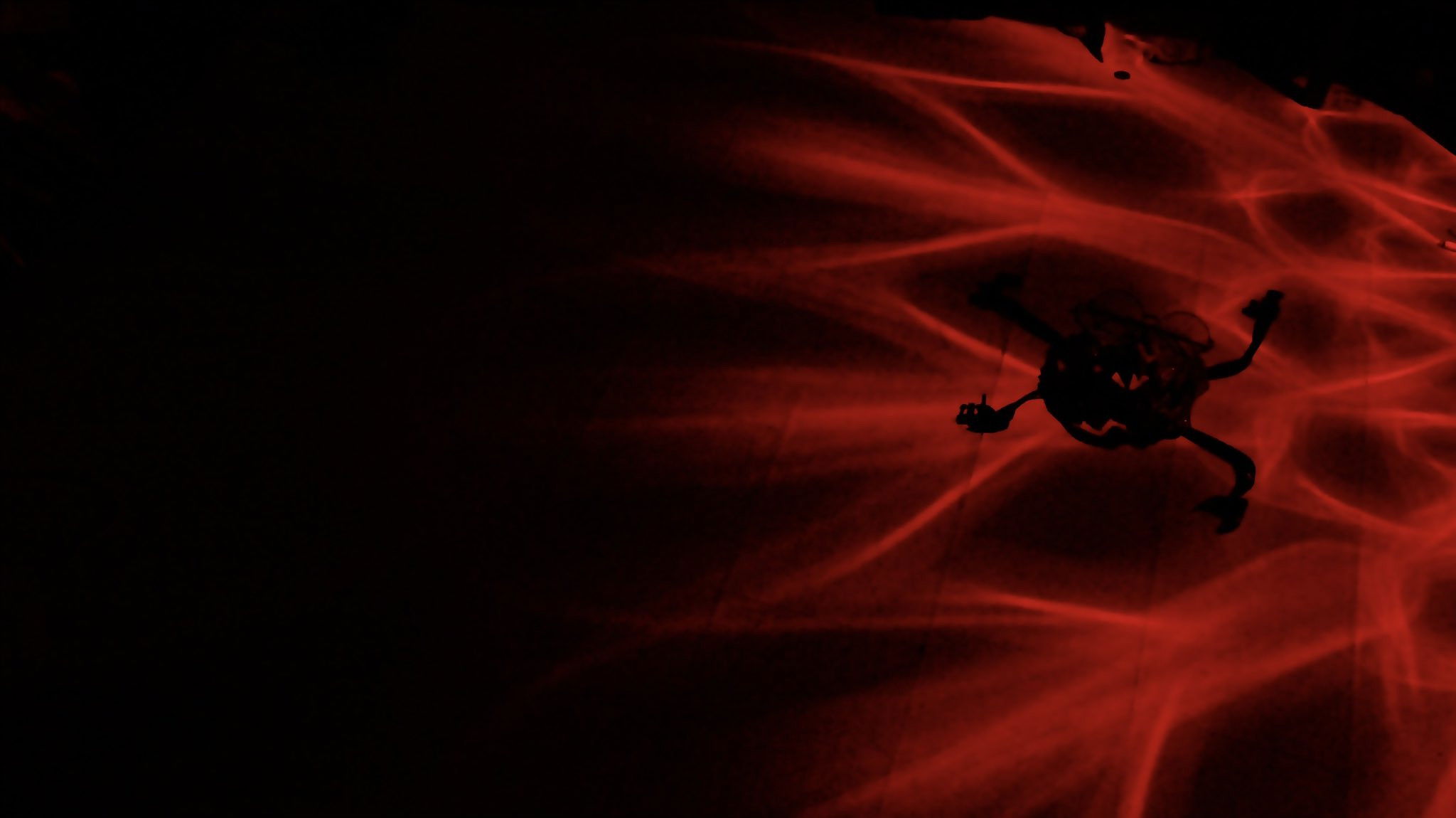 Backdrop for Flooding Memories