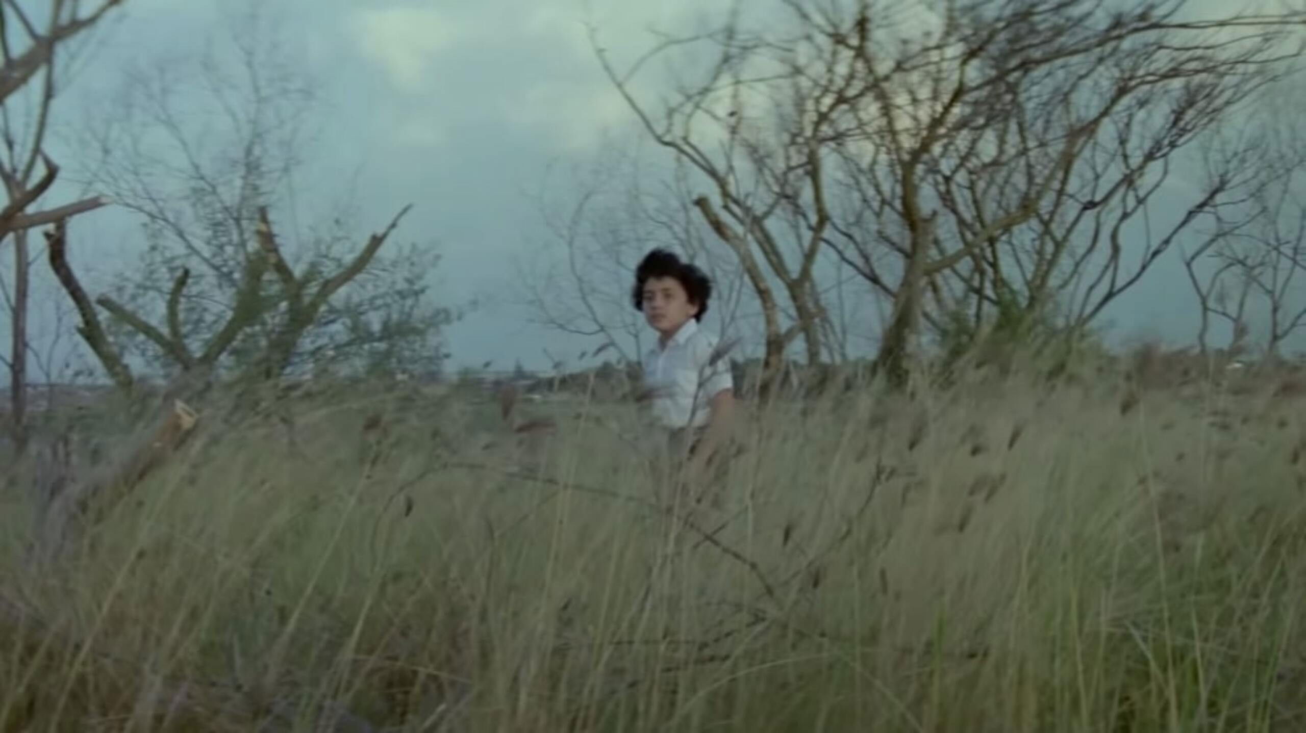 Backdrop for Senggol-Senggolan