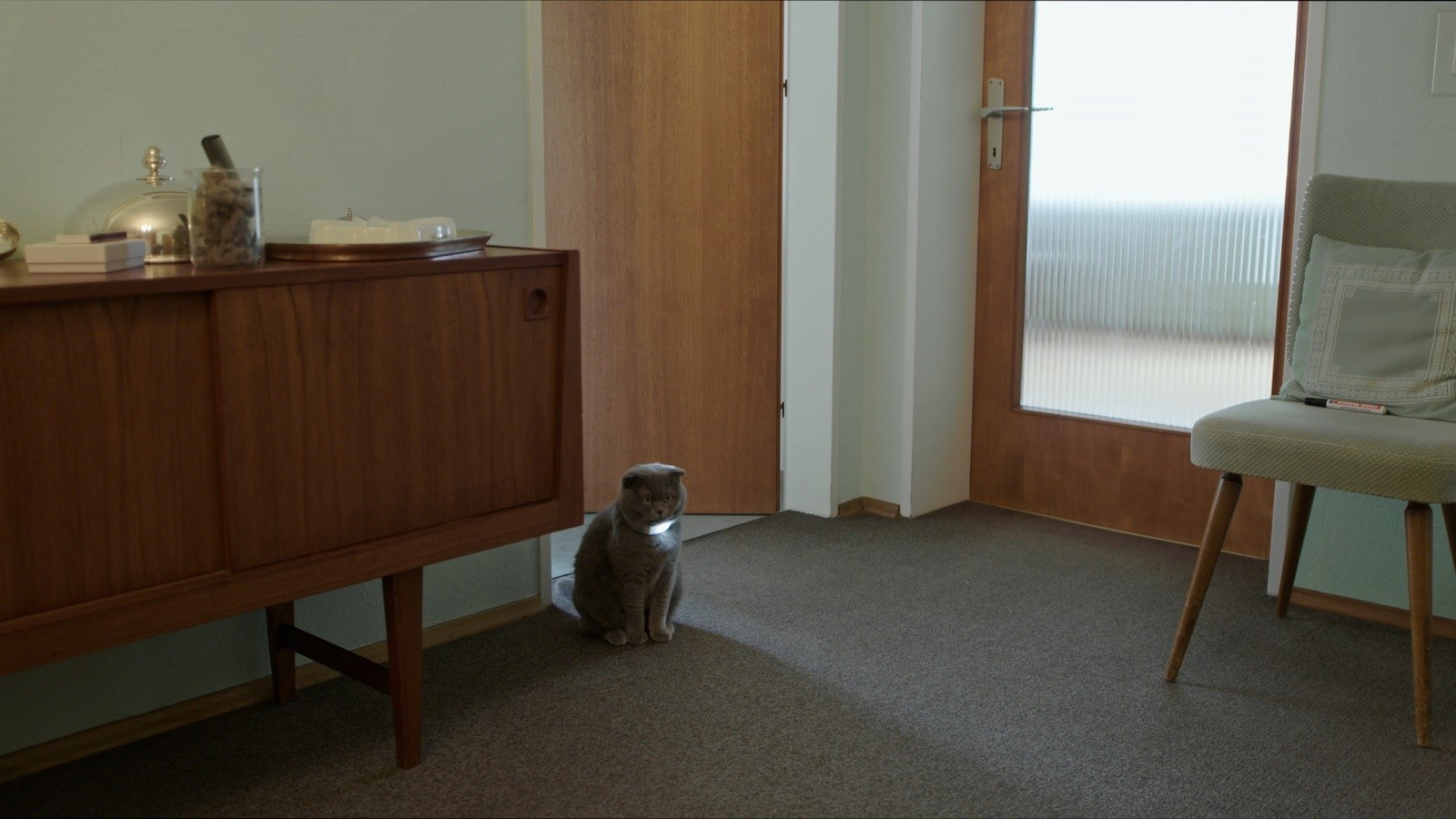 Backdrop for All Cats Are Grey in the Dark