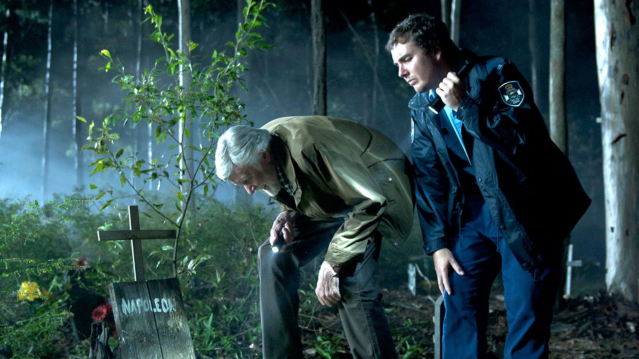 Backdrop for The Strange Calls