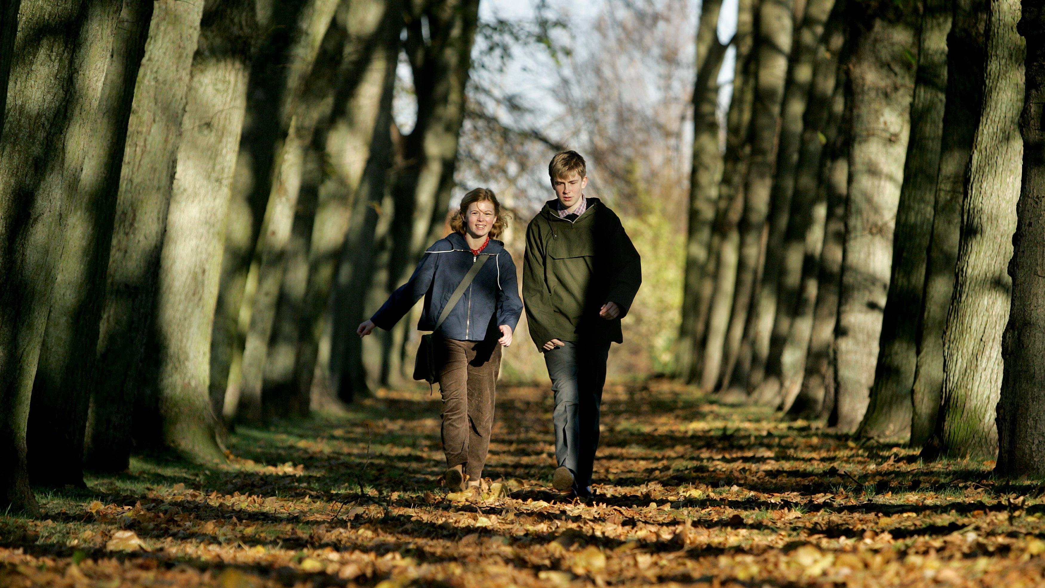 Backdrop for Aching Hearts