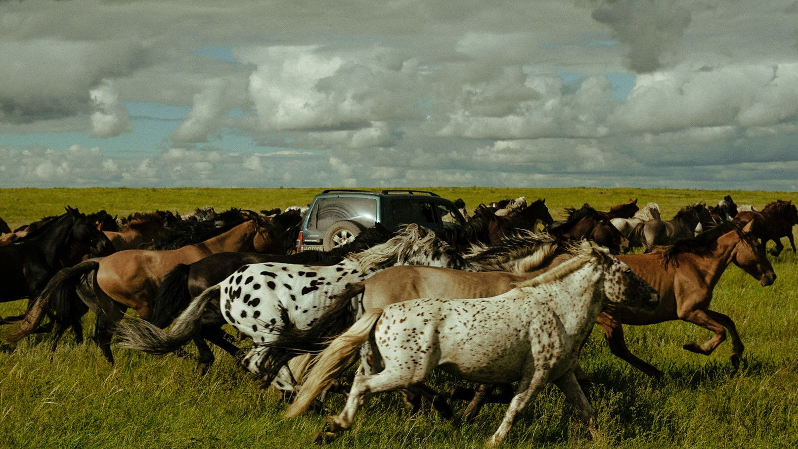 Backdrop for Striding Into the Wind