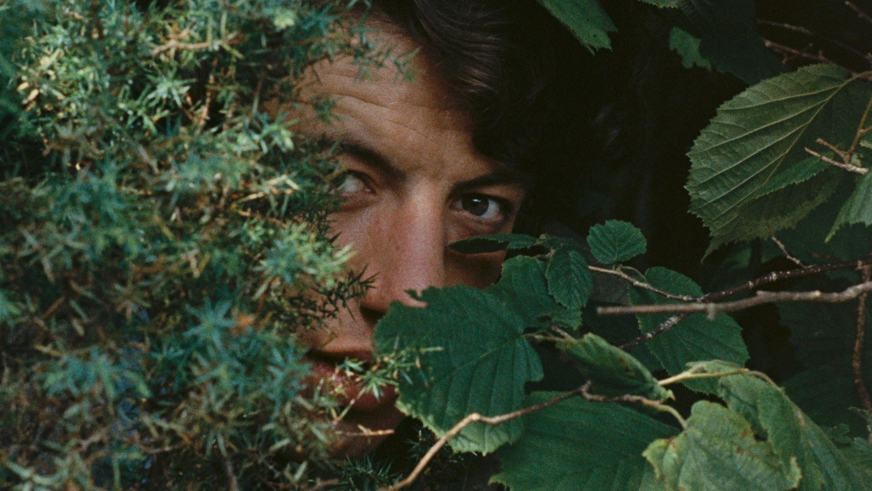 Backdrop for The Seed