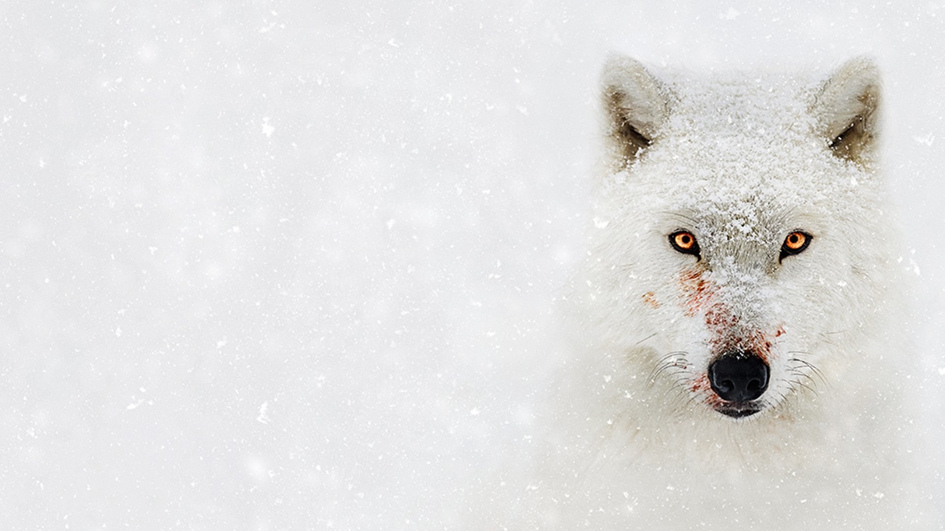 Backdrop for Hostile Planet